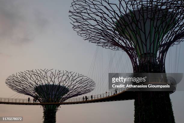 The Supertree Grove at Gardens by the Bay at the sunset on August 17, 2019 in Singapore.
