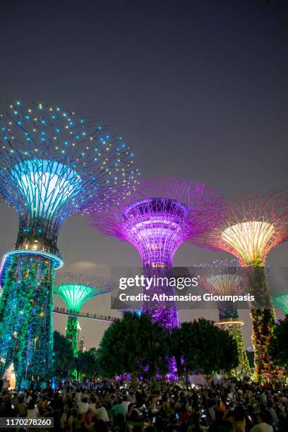 Night view of The Supertree Grove at Gardens by the Bay at the sunset on August 17, 2019 in Singapore.