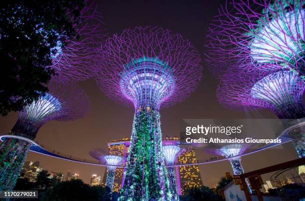 Night view of The Supertree Grove at Gardens by the Bay at the sunset on August 17, 2019 in Singapore.