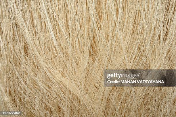 This photograph taken on September 17, 2019 shows dried silk thread yarn in Co Chat village in Vietnam's Nam Dinh province. - Cocoons bob over...