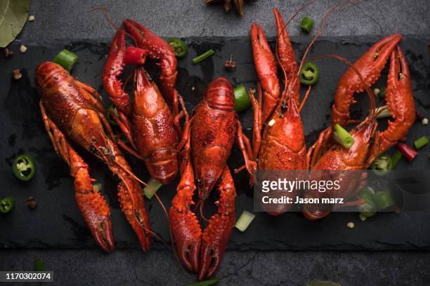 crayfish - crawfish stockfoto's en -beelden