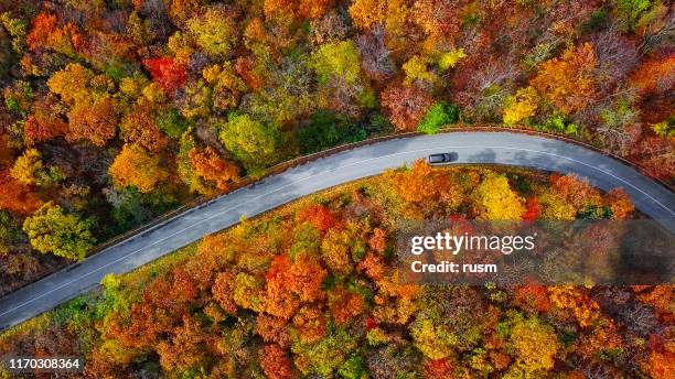 カラフルな秋の森の中の曲がりくねった山道のオーバーヘッド航空写真 - inside car ストックフォトと画像