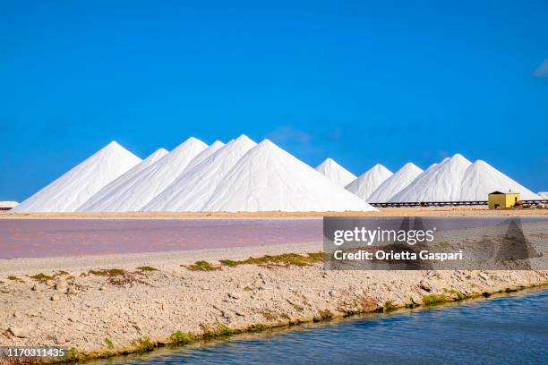 salzpfannen von bonaire - bonaire stock-fotos und bilder