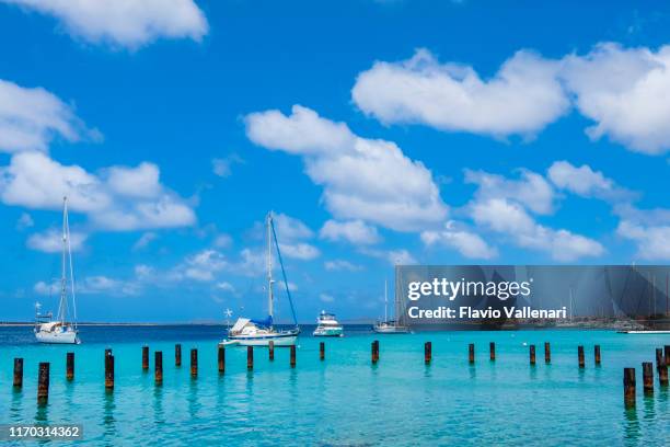 bonaire, kralendijk - caribisch nederland stockfoto's en -beelden