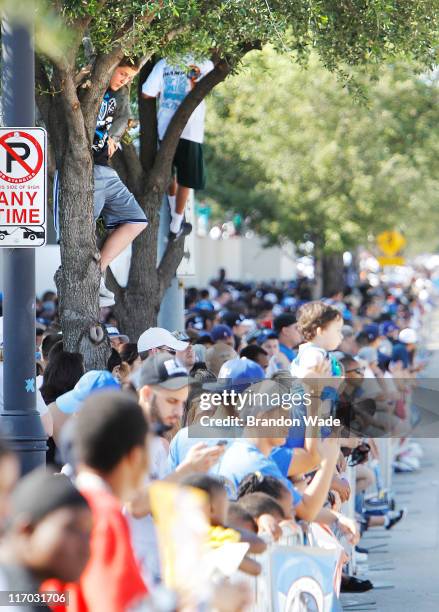 Dallas Mavericks fans find a spot in the trees during the Dallas Mavericks Victory Parade on June 16, 2011 in Dallas, Texas.