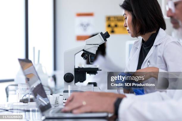 scientist puts on protective gloves before handling biological samples - radiation sickness stock pictures, royalty-free photos & images