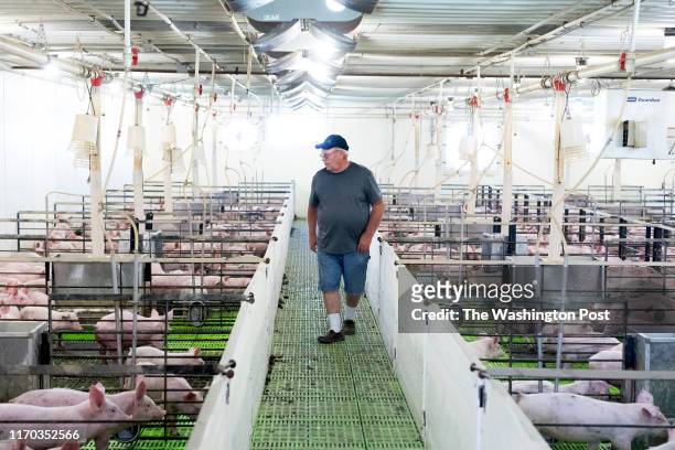 Don Brink, a semi-retired farmer, walks through a pig barn on his land in Dewald Township, ten miles away from Worthington, Minn., September 4, 2019....