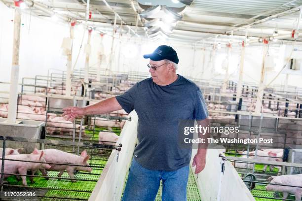 Don Brink, a semi-retired farmer, walks through a pig barn on his land in Dewald Township, ten miles away from Worthington, Minn., September 4, 2019....