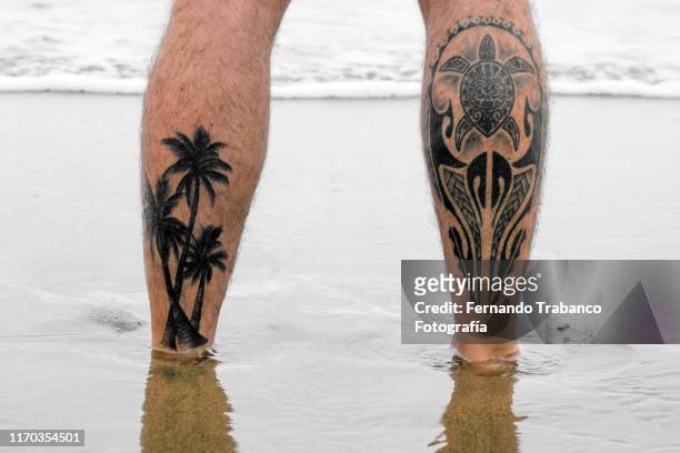 184 Turtle Tattoo Photos and Premium High Res Pictures - Getty Images