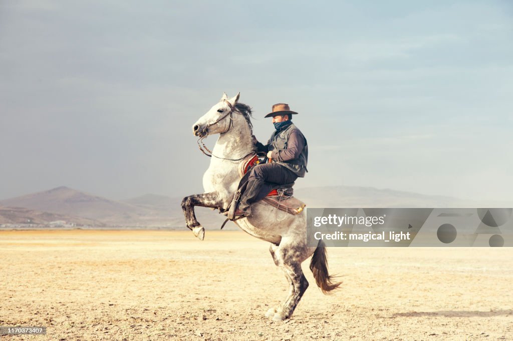 Cowboy a cavallo. cavalli rampante