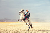 Cowboy riding horses. prancing horse