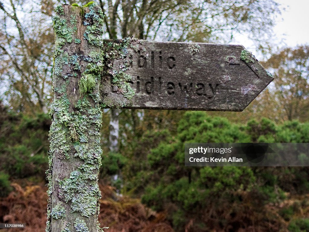 Overgrown signpost