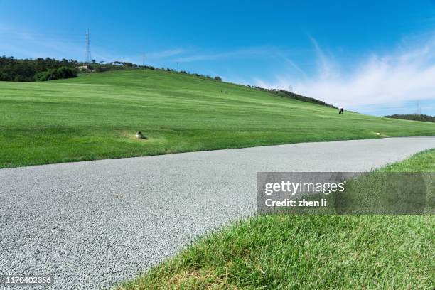 the way on the grassland - tarmac driveway stock pictures, royalty-free photos & images