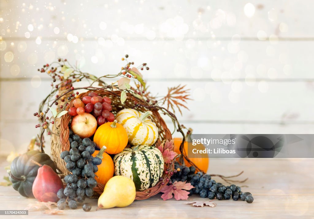 Thanksgiving Cornucopia on a White Wood Background