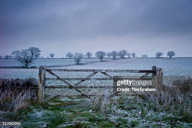 hoar frost in the cotswolds uk - oxfordshire stock pictures, royalty-free photos & images