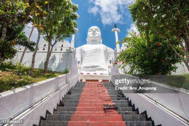 the white giant buddha statue in sri maha bodhi viharaya located on the top of small hill in kandy city, sri lanka. - kandy sri lanka stock pictures, royalty-free photos & images