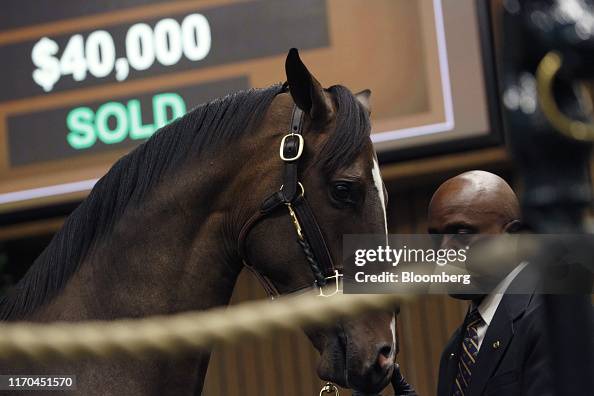Aggressive Trade, $8.2 Million Record Price Drive Successful 2019 Keeneland September Yearling Sale Aggressive Trade, $8.2 Million Record Price Drive Successful 2019 Keeneland September Yearling Sale