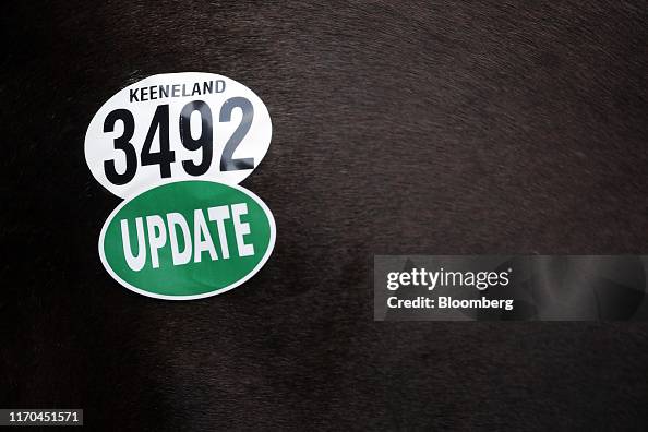 Aggressive Trade, $8.2 Million Record Price Drive Successful 2019 Keeneland September Yearling Sale Aggressive Trade, $8.2 Million Record Price Drive Successful 2019 Keeneland September Yearling Sale