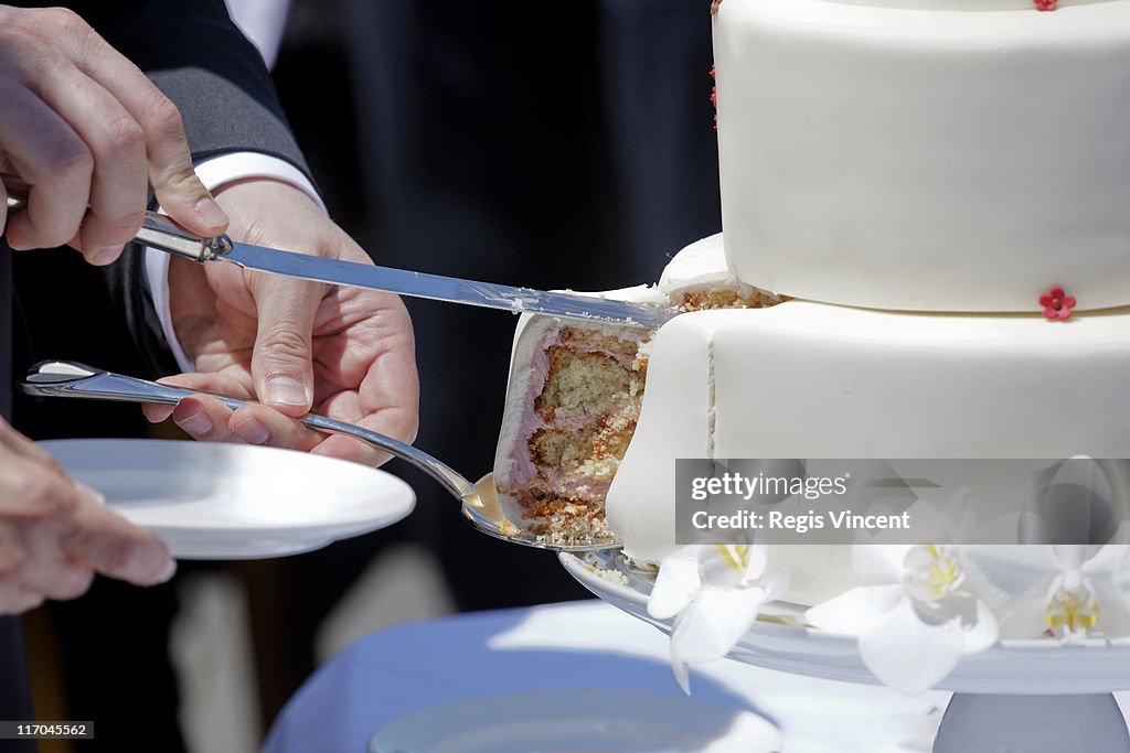 Cutting the cake