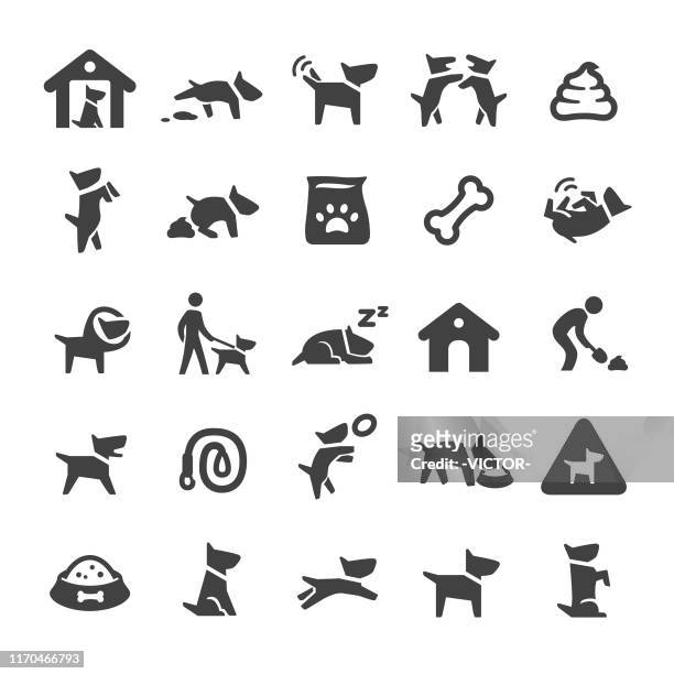 ilustraciones, imágenes clip art, dibujos animados e iconos de stock de iconos para perros - smart series - dog