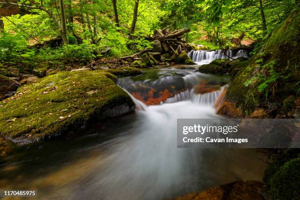 stream in the national park of mala fatra mountains in turiec region. - karpaten stock-fotos und bilder