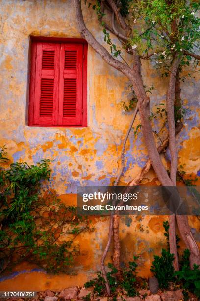plants and an old building in anafiotika neighborhood in the old town. - plaka stock pictures, royalty-free photos & images