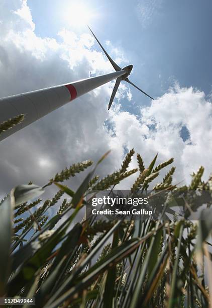 Wind turbine of German alternative energy producer Energiequelle GmbH spins in a field of wheat on June 20, 2011 near Feldheim, Germany. Feldheim...