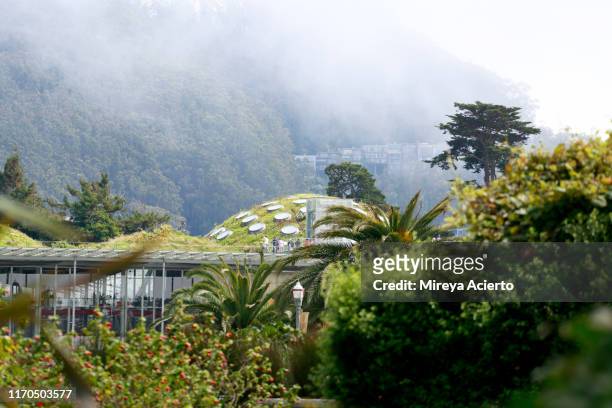 san francisco, ca- august 5, 2019: the california academy of sciences living roof peaks out from behind trees and fog, located in golden gate park. - california academy of sciences stock pictures, royalty-free photos & images