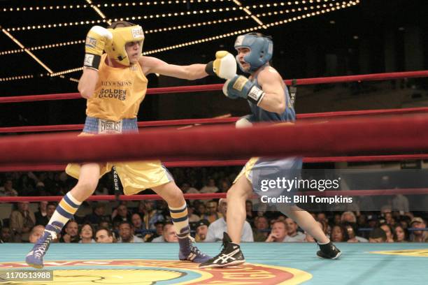 Jose Guzman vs Kristian Vasquez Vasquez, blue trunks, winner by decision at 132 lbs. Golden Gloves 2006 at Madison Square Garden on April 6, 2006 in...