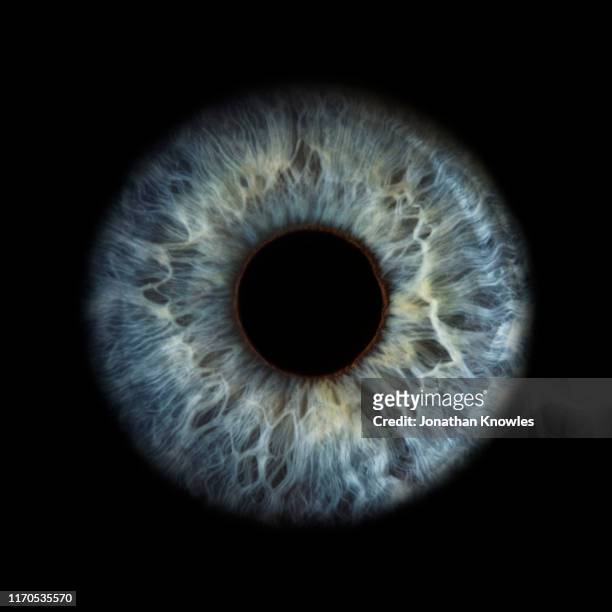 close up of eye - bulbo oculare foto e immagini stock