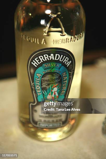 Atmosphere, Herradura Tequila during Hamptons and Gotham Summer Kick Off Party - May 23, 2007 at The Summer Pavilion in New York City, New York,...