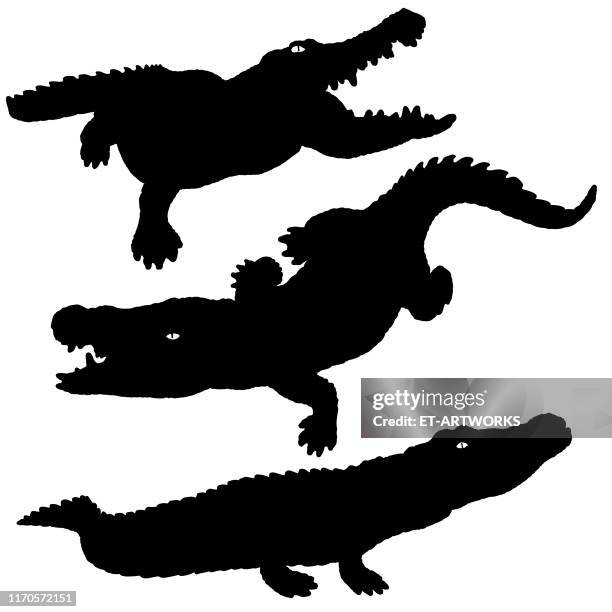 alligator silhouette set - strange perspective stock illustrations