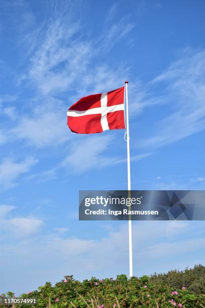 Danish Red Color 450 Danish Red Cross Stock Photos, High-Res Pictures, and Images ...