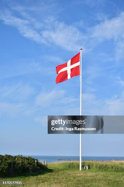 the danish flag in the wind - asta fotografías e imágenes de stock
