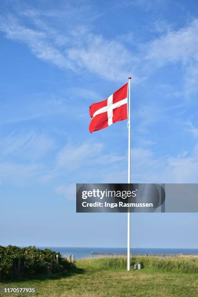 the danish flag in the wind - danish flags stock pictures, royalty-free photos & images