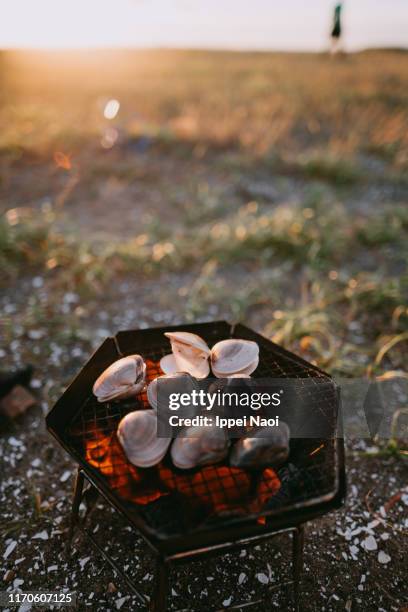 barbecuing clams on charcoal at campsite by the sea at sunset, chiba, japan - clams stock pictures, royalty-free photos & images