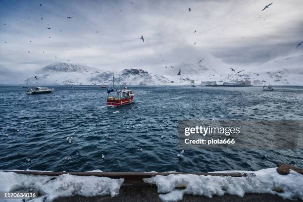 fishing boats out for skrei cod in the arctic sea - extreme weather norway stock pictures, royalty-free photos & images