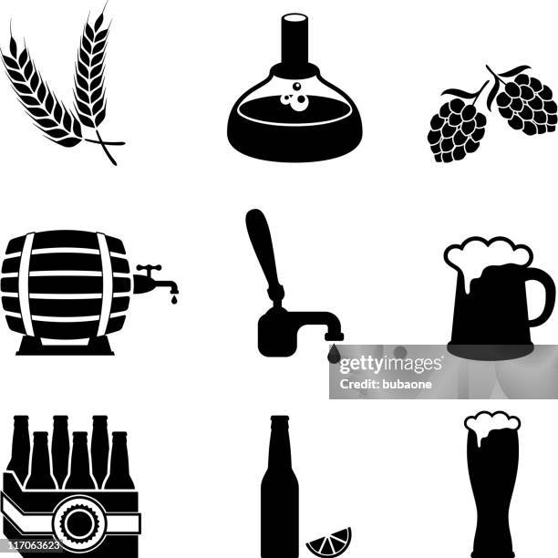 stockillustraties, clipart, cartoons en iconen met beer brewery process and equipment vector icon set - zure smaak