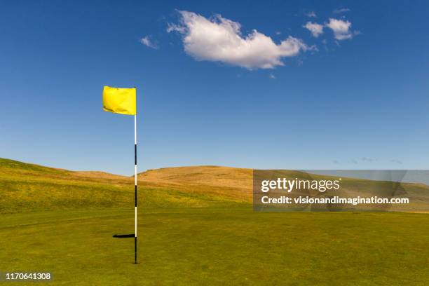 simplistic landscape - drapeau de golf photos et images de collection