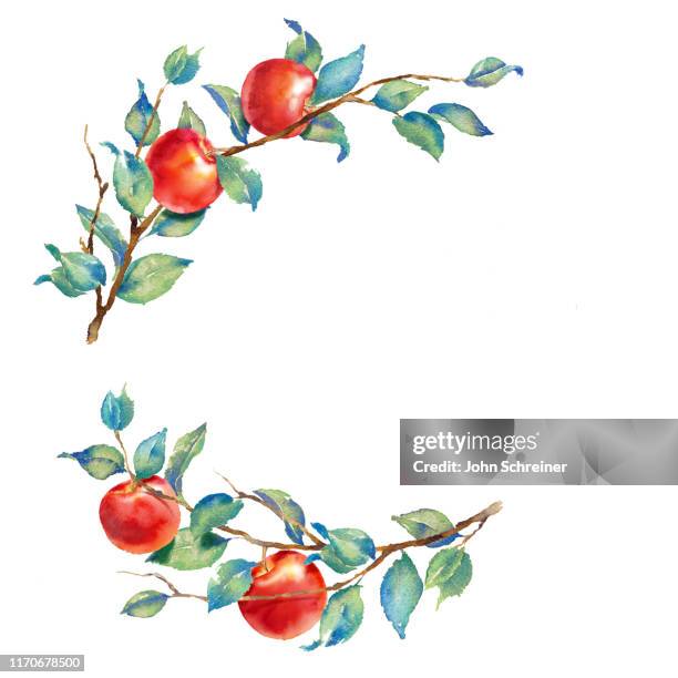 apple - apple stock illustrations