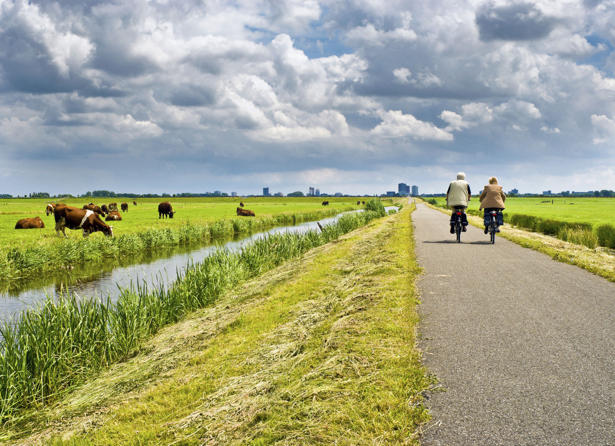 bicycles eco travel