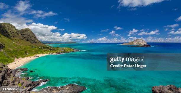 makapuu beach,oahu,honolulu,hawaii,usa - hawaii panoramic stock pictures, royalty-free photos & images