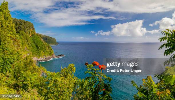 coastal scenery beside the road to hana,maui,hawaii,usa - maui imagens e fotografias de stock