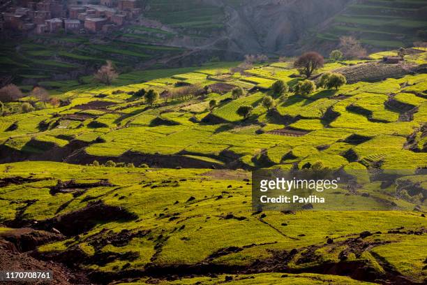 bergdorf, straße über den pass von demnate , marokko,nordafrika - el mirage stock-fotos und bilder