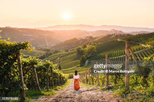 woman walking in vineyards enjoying the sunset, langhe region, piedmont, italy. unesco site - italian woman stock-fotos und bilder