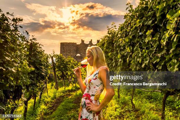 young blonde woman sniffs and drinks a glass of wine watching sunset over vineyards, italy - agritoerisme stockfoto's en -beelden