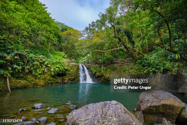 waikamoi waterfall,road to hana,maui,hawaii,usa - water fall hawaii 個照片及圖片檔