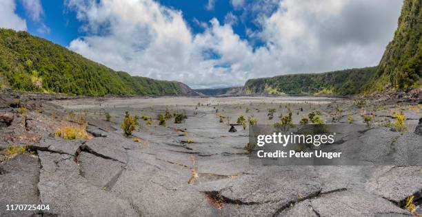 kilauea iki crater,hawaii volcanoes national park,big island,hawaii,usa - big island volcano national park stock-fotos und bilder