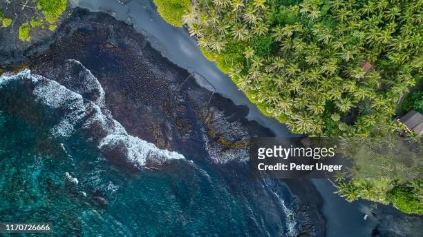 pohoiki black sand beach, pahoa,big island,hawaii,usa - het grote eiland hawaï eilanden stockfoto's en -beelden
