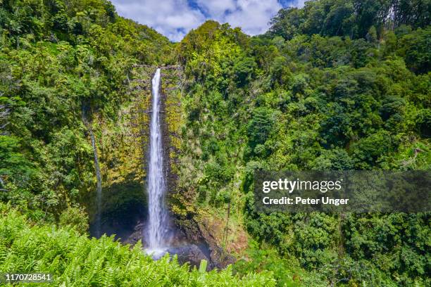 akaka falls,honomu,big island,hawaii,usa - water fall hawaii 個照片及圖片檔